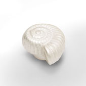 Top Trilobit 14mm