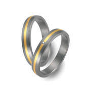 Titanringe 50103