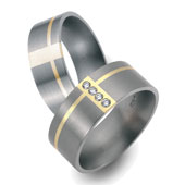 Titanringe 50934/51194