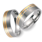 Titanringe 50958/51045