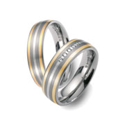 Titanringe 50966/51003 Gelbgold/Platin