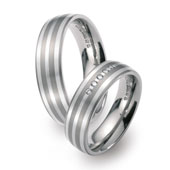 Titanringe 50966/51003 Silber