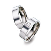Titanringe 50972/51654