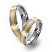 Titanringe 51254