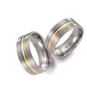 Titanringe 51438