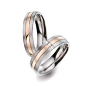Titanringe 51597/51598