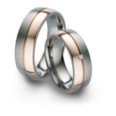 Titanringe 51621
