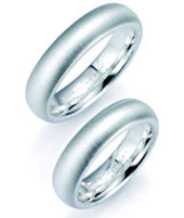 Silberringe "bruno banani" 910040