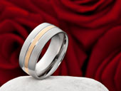 Edelstahlring Costina 061