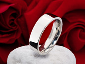 Edelstahlring EE-02