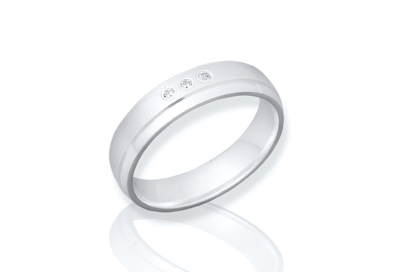Silberring R8525cz
