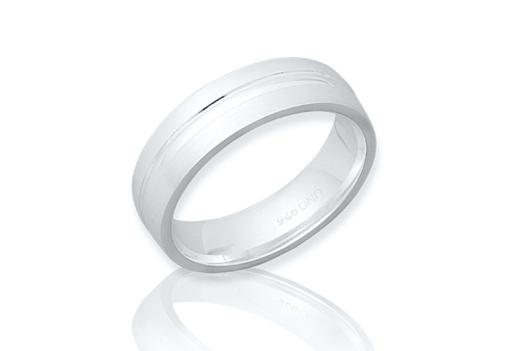 Silberring R8528