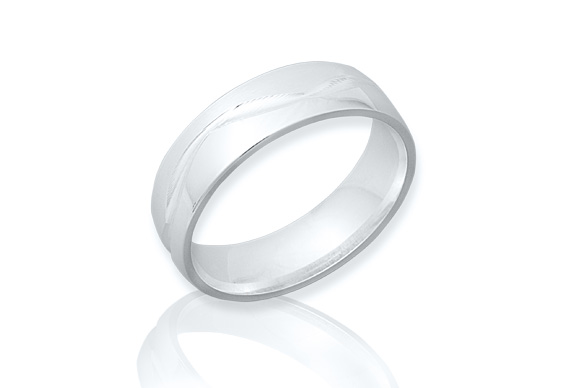Silberring R8529