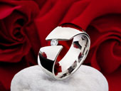 Edelstahlring EE-06