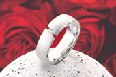Silberring 828