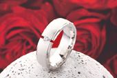 Silberring 829