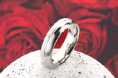 Silberring 838