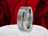 Silberring S 2010